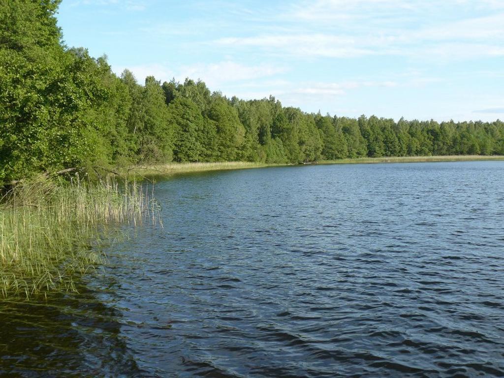 Domek Letniskowy - Jerutki Szoba fotó